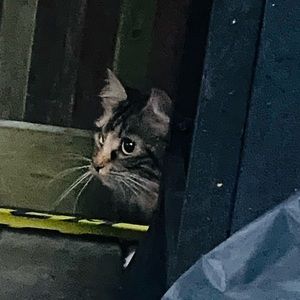 Meet your Posher, Itzmadi06